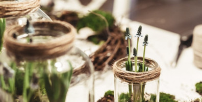 Living green with these 11 handy tips