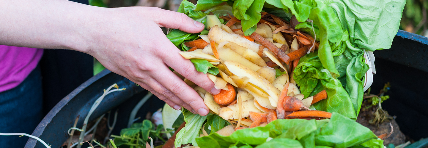 Composting and Worm Farming