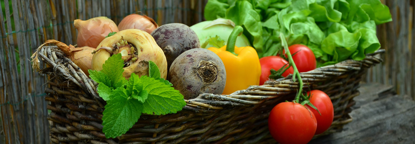 Seasonal Fruit and Vegetables - Autumn/Winter