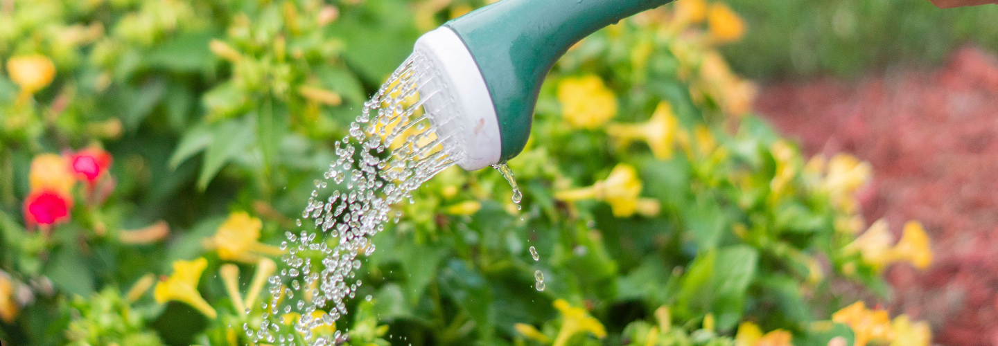 Waterwise Gardening