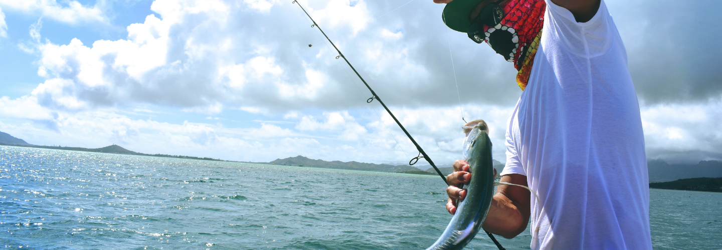 Finding Fish in South Coast Estuaries