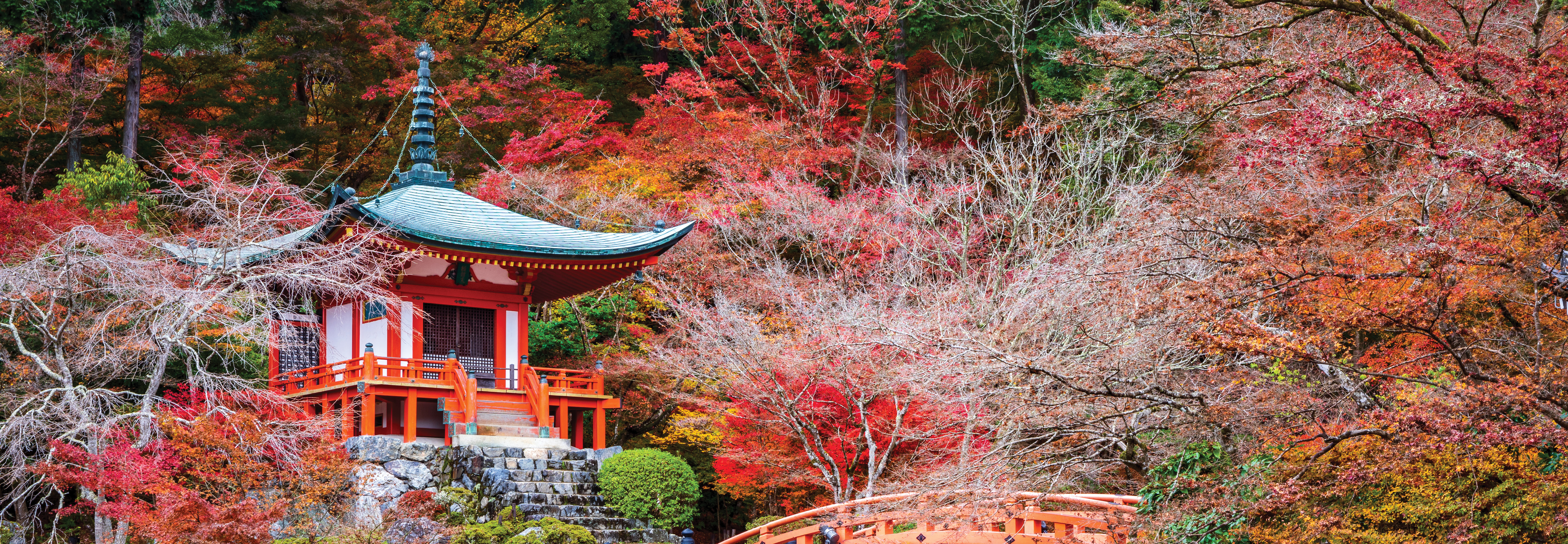 Japanese - Intermediate